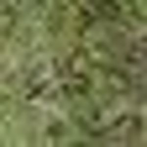 Meet your Posher, Val